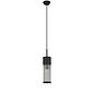 Tai - Single Light Pendant Ceiling Light with Glass Rods - Black