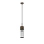 Tai - Single Light Pendant Ceiling Light with Glass Rods - Bronze