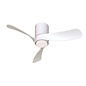 Sallis - Ceiling Fan with Adjustable LED Light - White