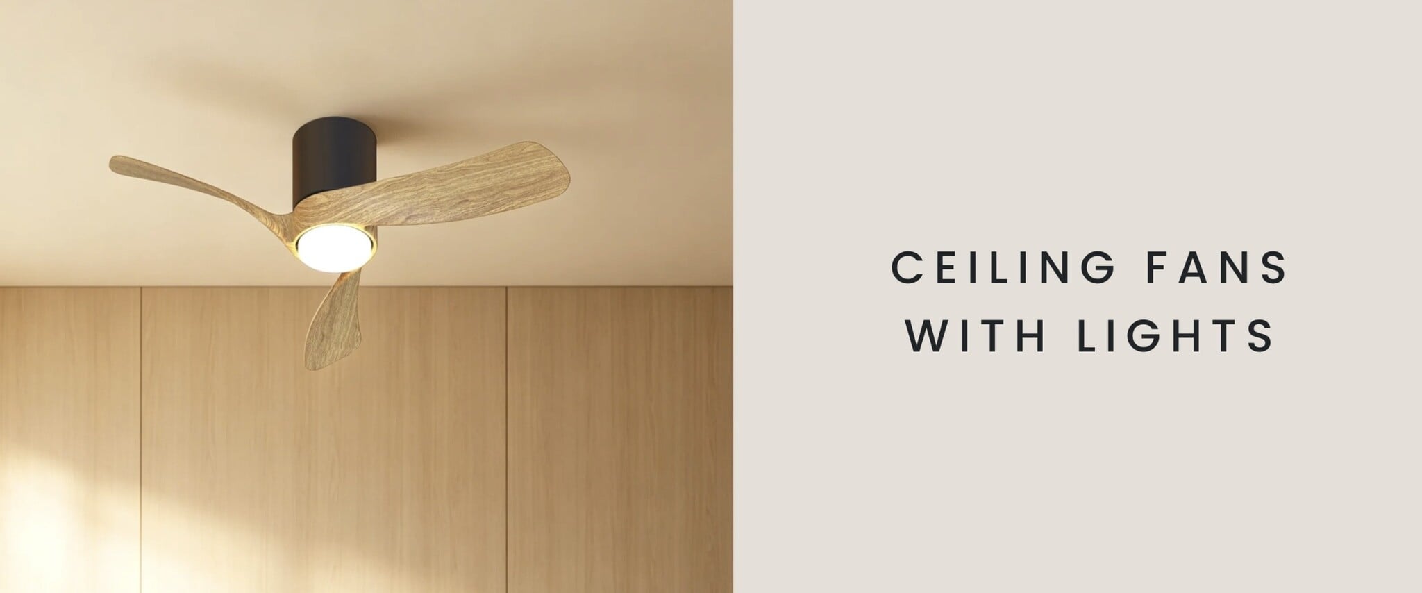 Ceiling fan with light