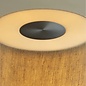 Noble Firefly - Rechargeable Cordless Table Lamp - Bronze & Beige Linen