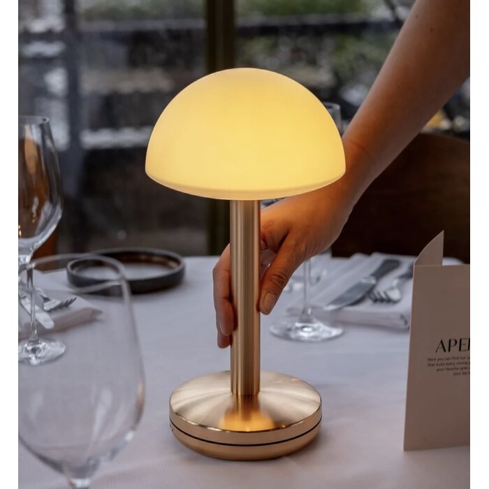 Noble Bug Rechargeable Cordless Table Lamp - Gold Frosted