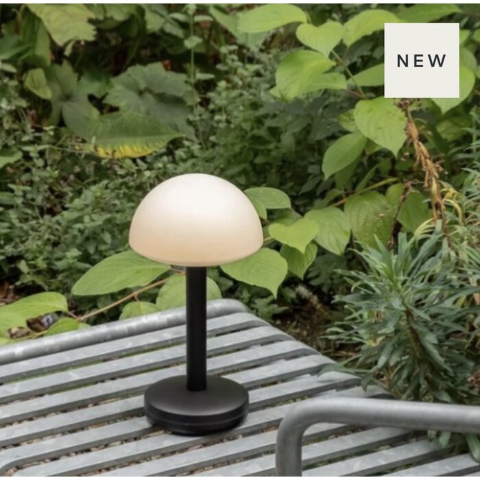 Noble Bug Rechargeable Cordless Table Lamp - Black Frosted