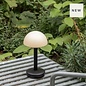Noble Bug Rechargeable Cordless Table Lamp - Black Frosted