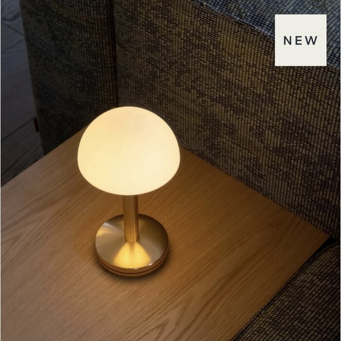 Noble Bug Rechargeable Cordless Table Lamp - Gold Frosted