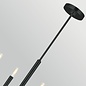 Bria - 6 Light Chandelier - Black