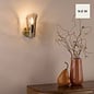 Ordelle - Adjustable Wall Light - Antique Bronze and Tea Smoked Glass