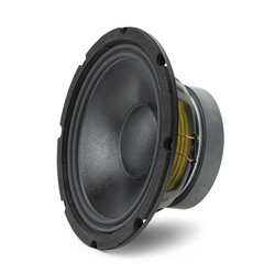 Audio Rockwood Rockwood 200mm subwoofer dubbele spreekspoel 2 x 4 ohm