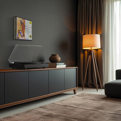 Audio Dynavox Dynavox platenwand-houder LP20 metaal, zwart, voor 20 12" LP's