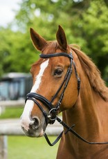 Norton “Anatomic” hoofdstel met gecombineerde neusriem