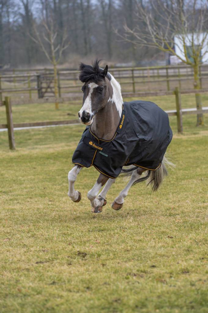 Bucas Irish Turn Out extra black/gold pony