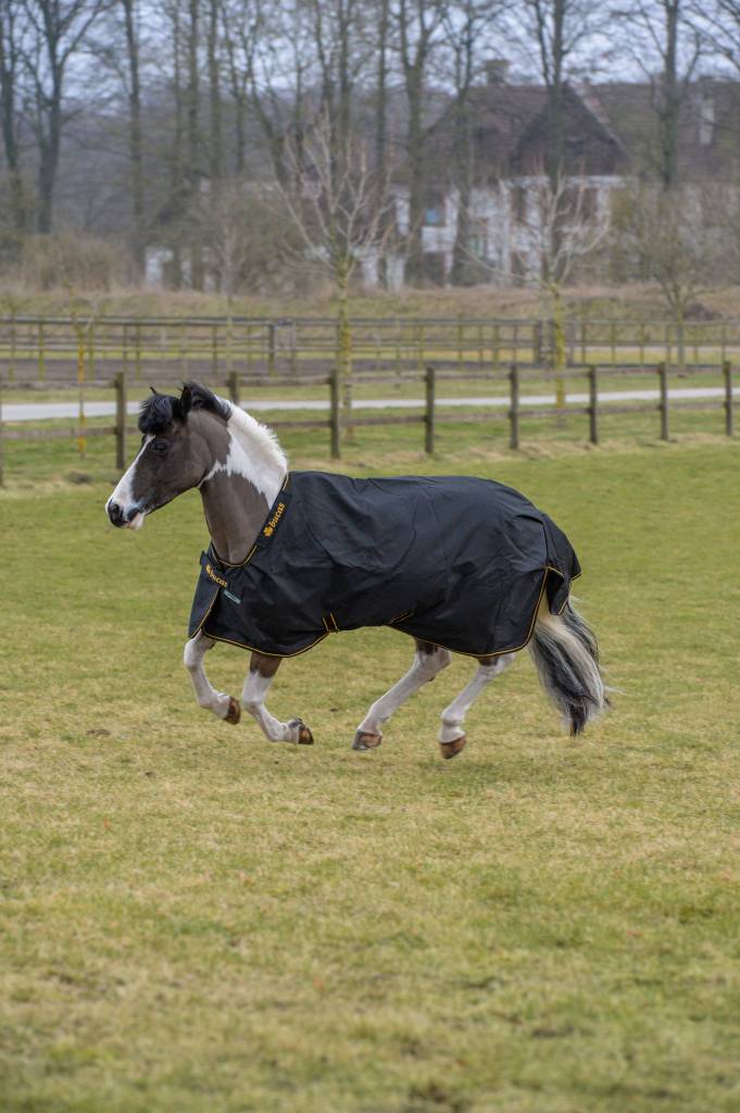 Bucas Irish Turn Out extra black/gold pony