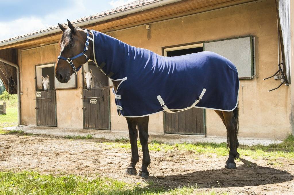 Equi Theme Combo Fleece super