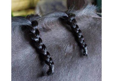 huid en haar verzorging