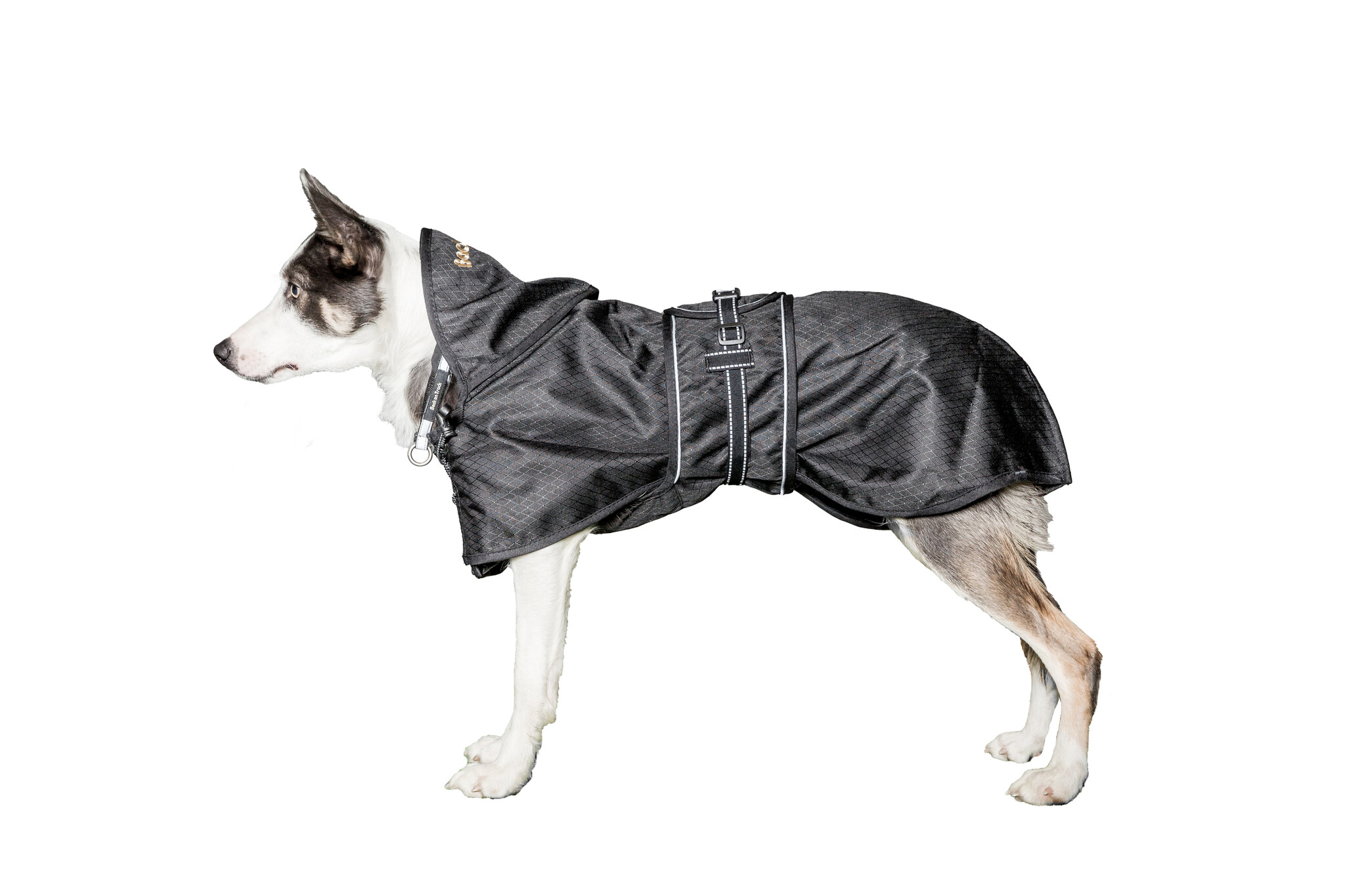 Back on Track Back on track Honden Standaard deken