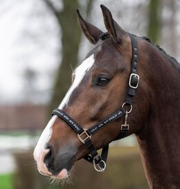 HV Polo Halster HV Polo Nena