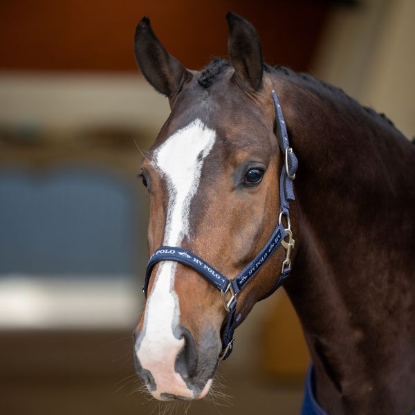 HV Polo Halster Nena HV Polo Navy