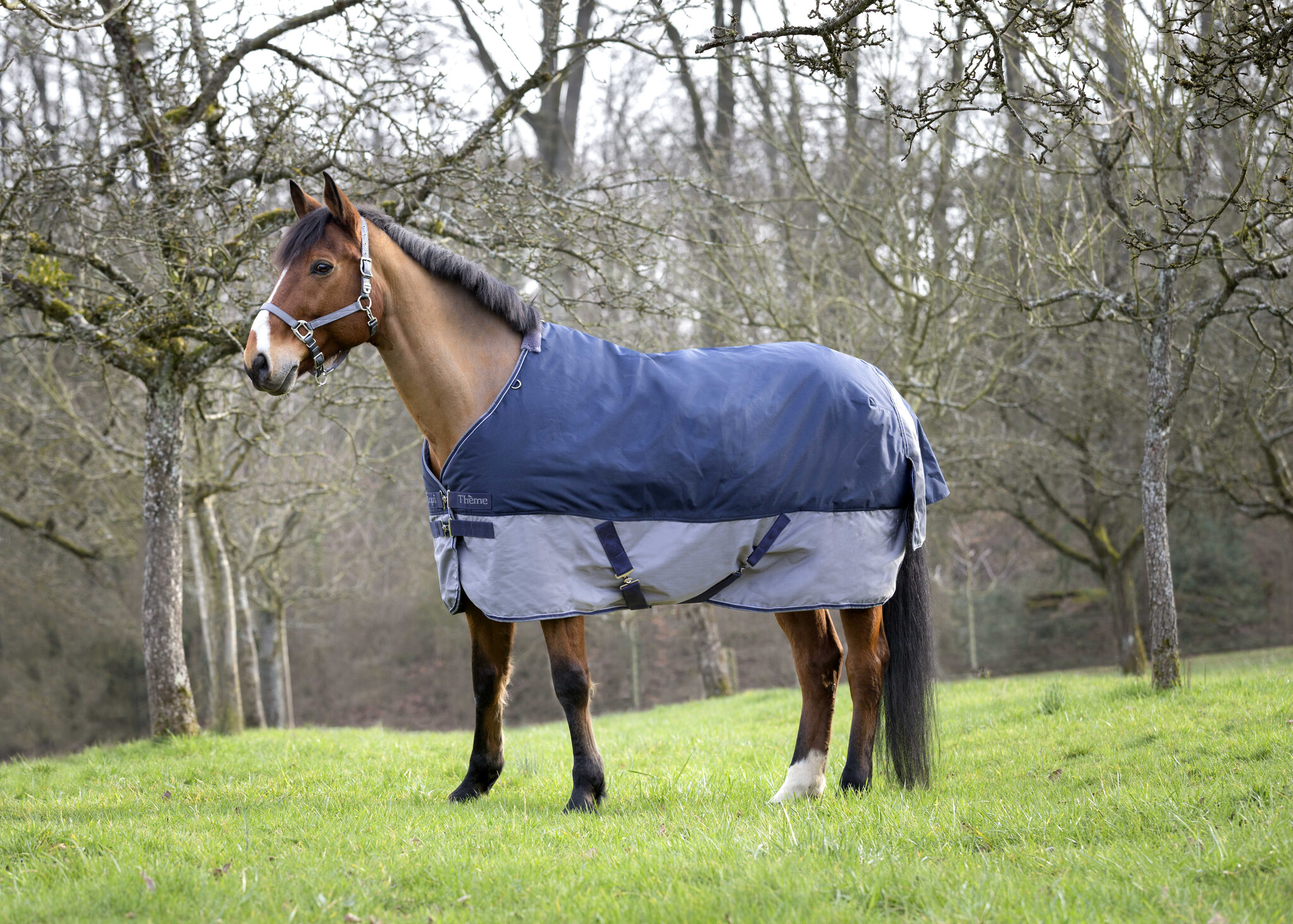 Equi Theme  “TYREX 600 D” Outdoordeken 150 gram
