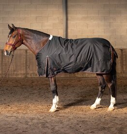 Winterdeken 300gr Outdoor deken Thor - Copy