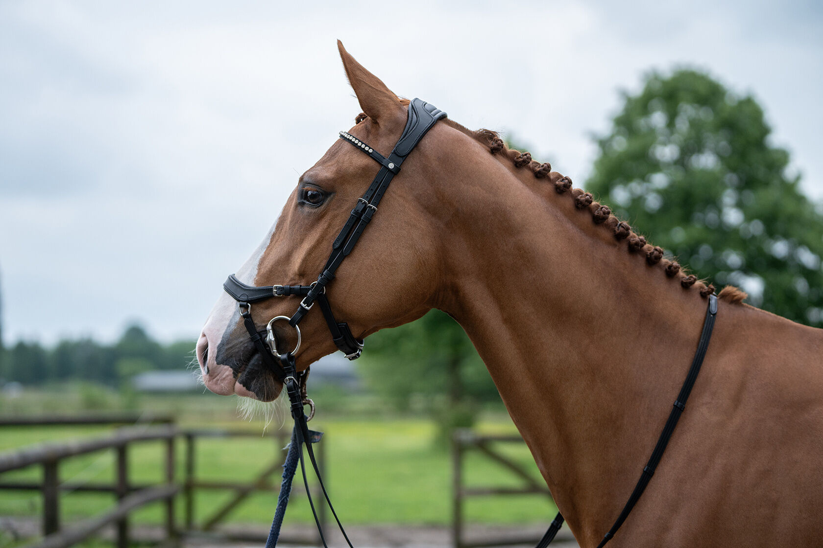 HKM Hoofdstel Pro Anatomic