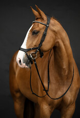 HKM Hoofdstel Pro Anatomic