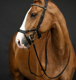 HKM Hoofdstel Pro Anatomic