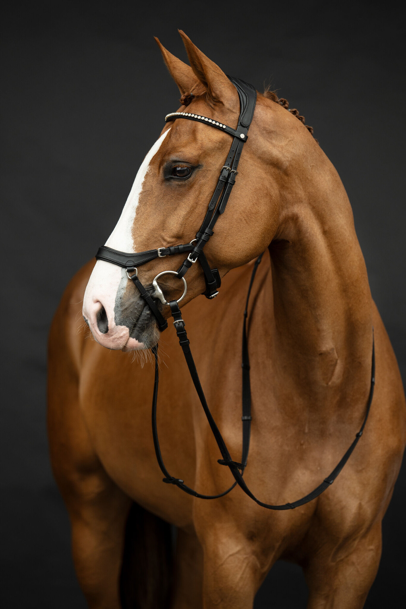 HKM Hoofdstel Pro Anatomic