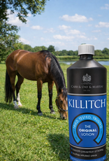 CARR & DAY & MARTIN Killitch CARR & DAY & MARTIN