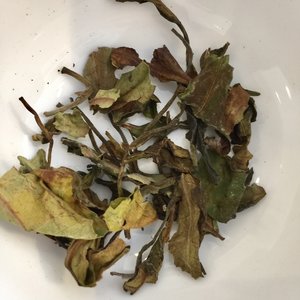 Witte Thee Pai Mu Tan / 50g