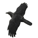 ProLoo Lokvogel vliegende kraai geflockt 44x80cm incl. metalen pen