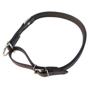 Euregiohunt Collar - leather