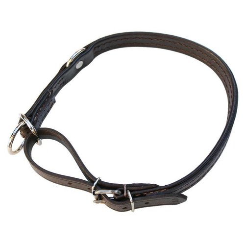 Euregiohunt Halsband - leder comfort 40cm