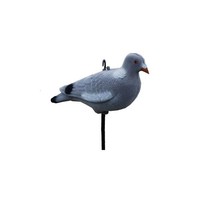 Decoy full pigeon