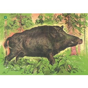 DJV Small caliber 2 Trooting Boar 50m target