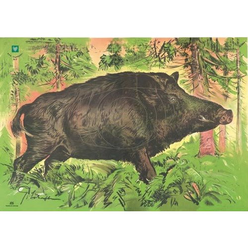 DJV Small caliber 2 Trooting Boar 50m target