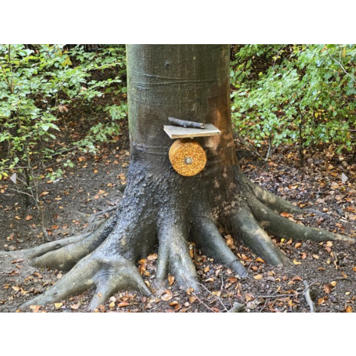 Wildlutscher Spezial Leckstein süß mit Maiskernen