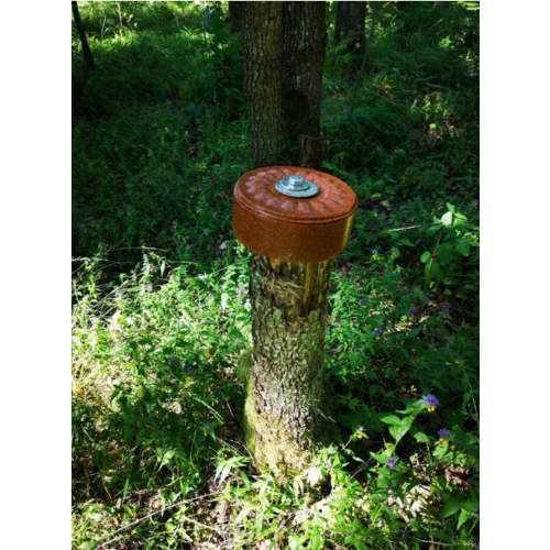 Wildlutscher Leckstein süß/sauer Sauerdorn Beere  | lockt, bindet und lenkt Wild