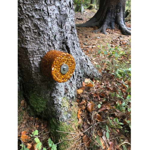 Wildlutscher Leckstein Honig | lockt, bindet und lenkt Wild