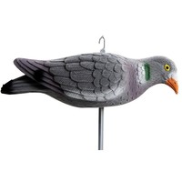 Lokvogel Duif Voedend