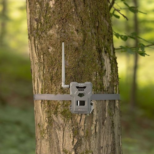 SpyPoint Cellular Trail Camera Flex