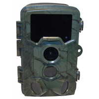4K wildlife camera / detector