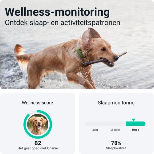 Tractive GPS-tracker voor honden XL green