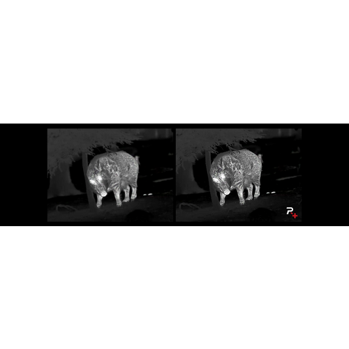 Nocpix Nocpix ACE RM H50R Wärmebild-Zielfernrohr – Fortschrittliche Detektion mit Laserentfernungsmesser Nocpix Nocpix ACE RM H50R Wärmebild-Zielfernrohr – Fortschrittliche Detektion mit Laserentfernungsmesser