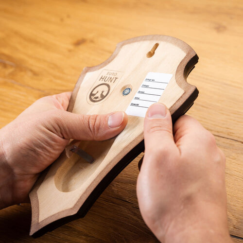 Hoornclip per 5 stuks