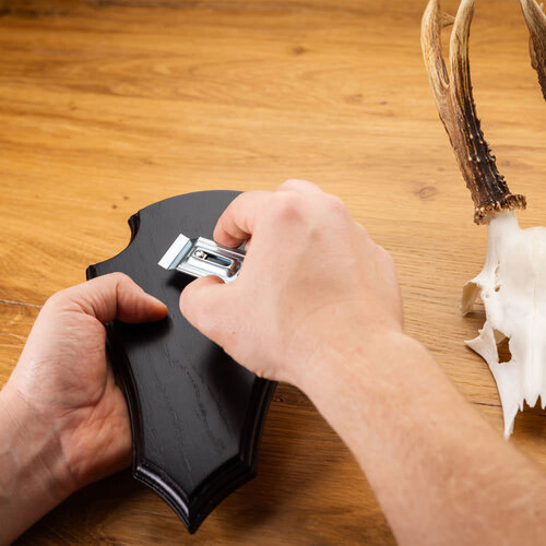 Hoornclip per 5 stuks
