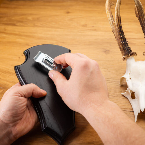 Hoornclip per 5 stuks