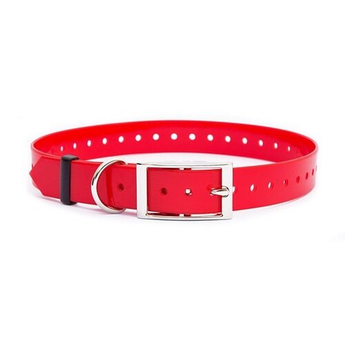 Dog Trace Kunststof halsband met oog