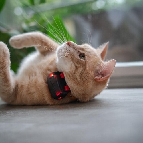 Dog Trace DOG GPS mini-locator voor honden