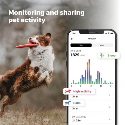 Dog Trace DOG GPS mini-locator voor honden