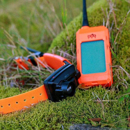 Dog Trace Volgsysteem met pieperhalsband DOG GPS X25B